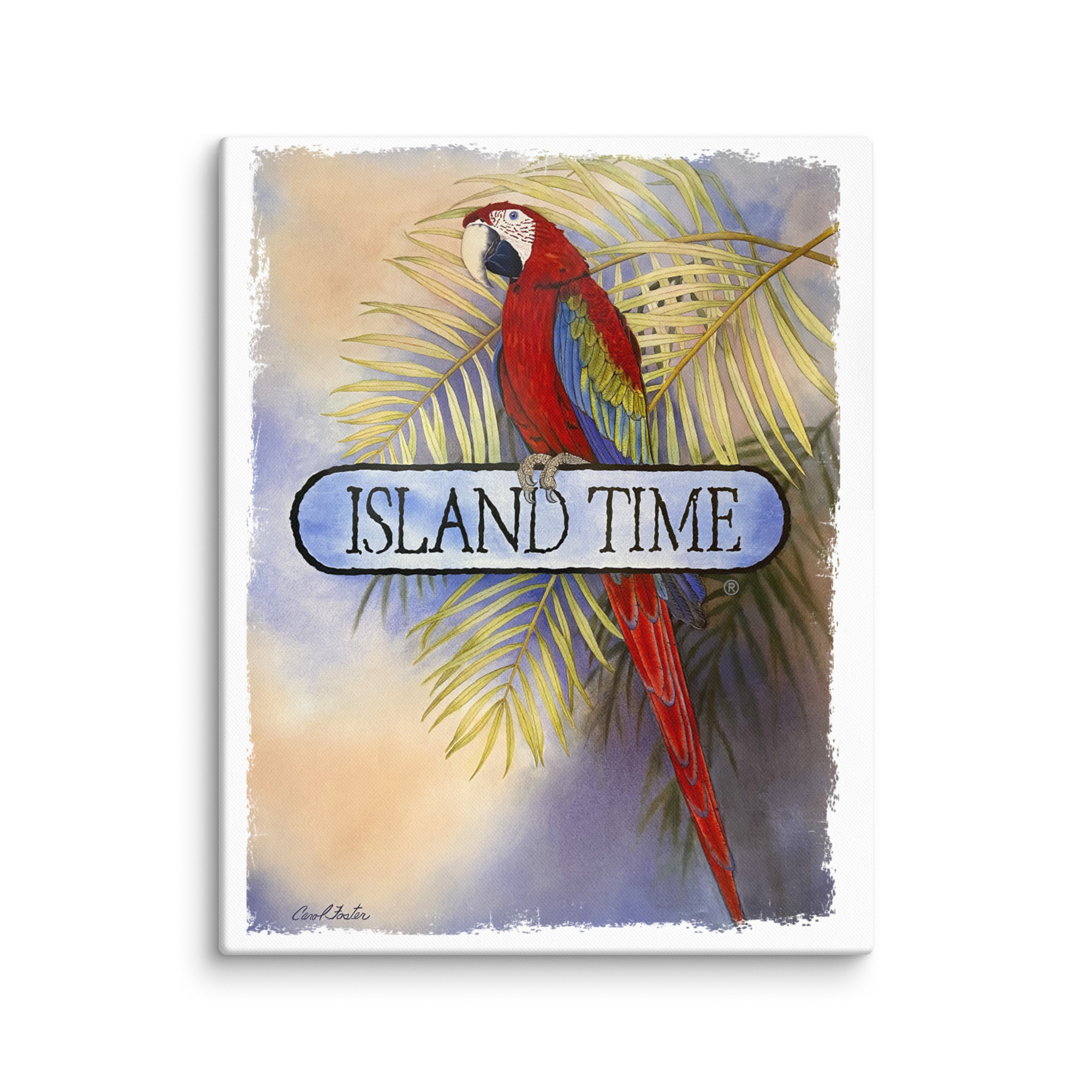 canvas-in-16x20-wall-695b2a8ec9c77