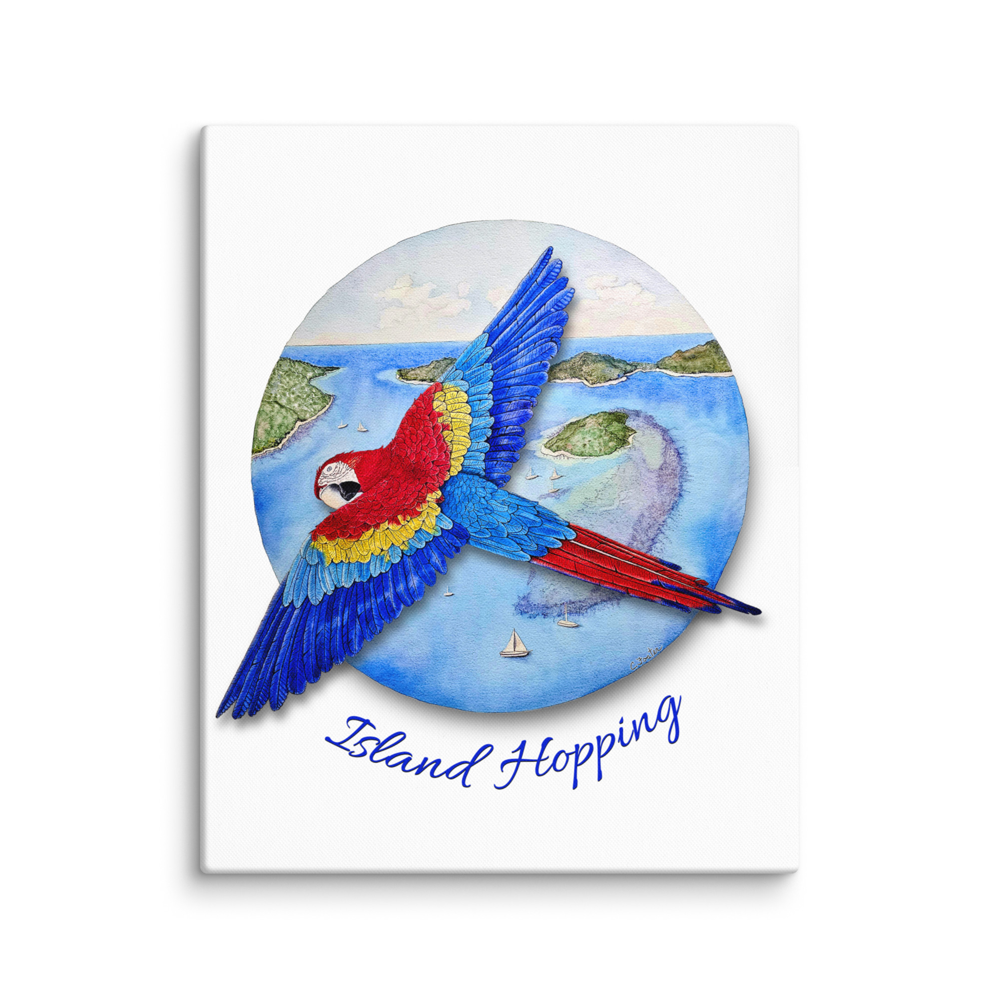 canvas-in-16x20-wall-695b2aa458a5b