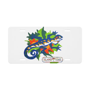 Vanity license plate